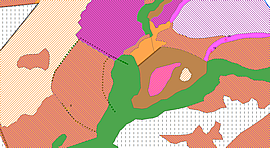 Vegetation surveys Phase 1 example