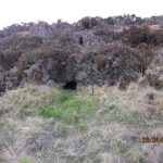 Holt in peat