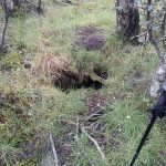 Vertical hole through peat. Pool of water beneath. Rolling pitch by hole. Likely to be a collapsed tunnel with holt entrance from river bank.